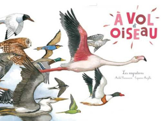 A vol d'oiseau. Les migrations