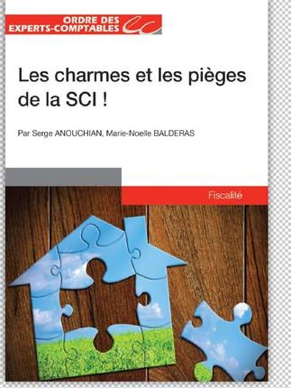 Charmes et les pièges de la société civile immobilière (SCI)