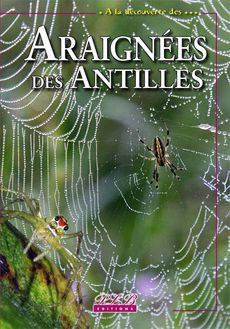À la découverte des... araignées des antilles