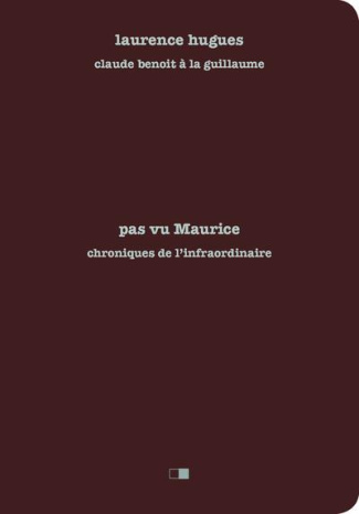 Pas vu Maurice. Chroniques de l'infraordinaire