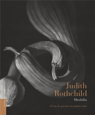 Judith Rothchild. Mirabilia