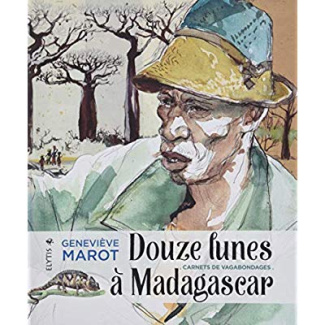 Douze lunes à Madagascar. Carnets de vagabondages