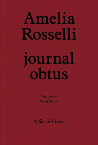 Journal obtus. Suivi de "Essai obtus" et "Amelia en fragments"