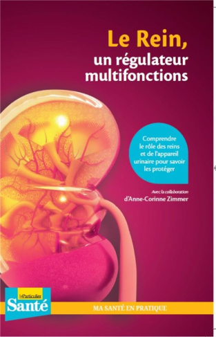 Le rein, un régulateur multifonctions