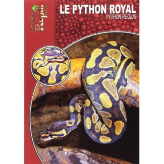 Le python royal. Python Regius