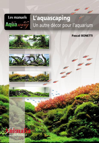 L'aquascaping. Un autre décor pour l'aquarium