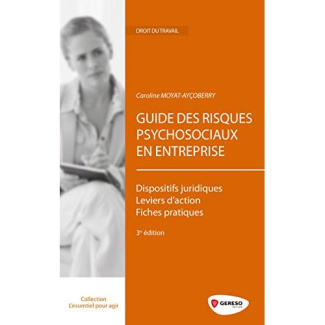 Guide des risques psychosociaux en entreprise. 3e édition