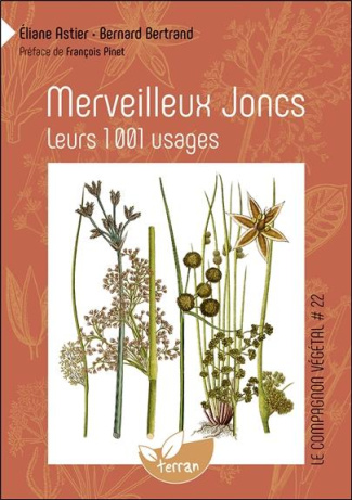 Merveilleux Joncs. Leurs 1001 usages