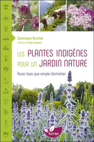Les plantes indigènes pour un jardin nature. Aussi beau que simple d'entretien