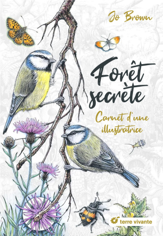 Forêt secrète. Carnet d'une illustratrice