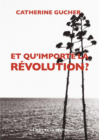 ET QU'IMPORTE LA REVOLUTION ?