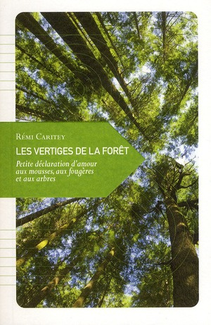 Les vertiges de la forêt. Petite déclaration d'amour aux mousses, aux fougères et aux arbres