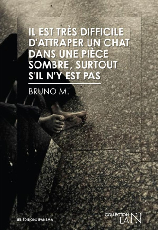 Il est très difficile d'attraper un chat dans une pièce sombre, surtout s'il n'y est pas