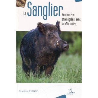 Le sanglier