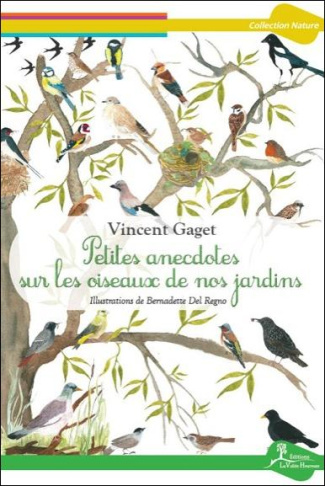 Petites anecdotes sur les oiseaux de nos jardins