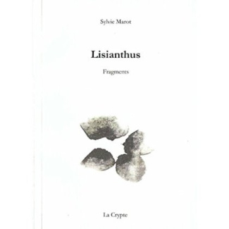 Lisianthus