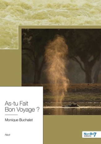 As-tu fait bon voyage ?