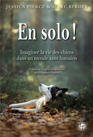 En solo. Imaginer la vie des chiens dans un monde sans humains