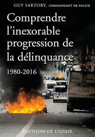 Comprendre l'inexorable progression de la délinquance (1980-2016)