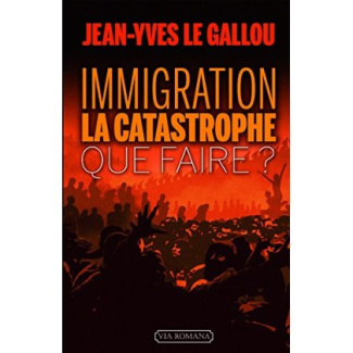 Immigration : la catastrophe. Que faire ?