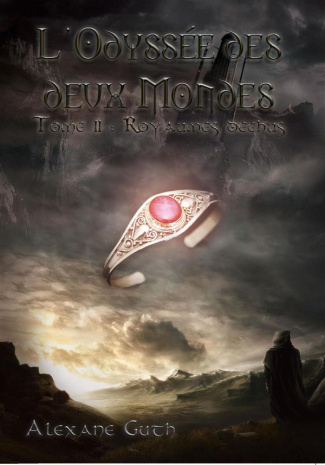 L'odyssée des deux mondes Tome 2 : Royamues déchus