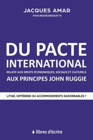 Du pacte international relatif aux droits économiques, sociaux et culturels aux principes John Ruggi