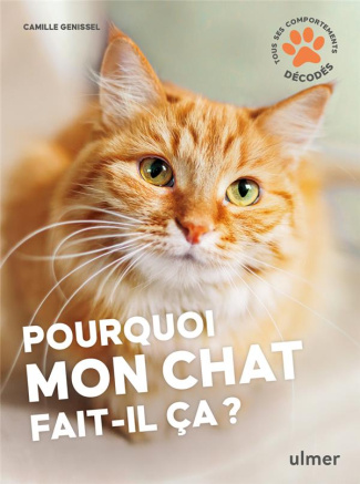 Pourquoi mon chat fait-il ça ?