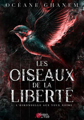 Les oiseaux de la liberté/01/L'hirondelle aux yeux noirs