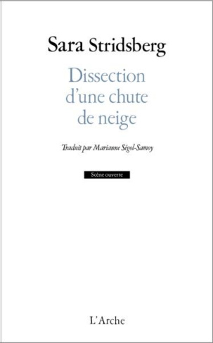 Dissection d'une chute de neige