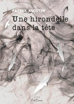 Une hirondelle dans la tête
