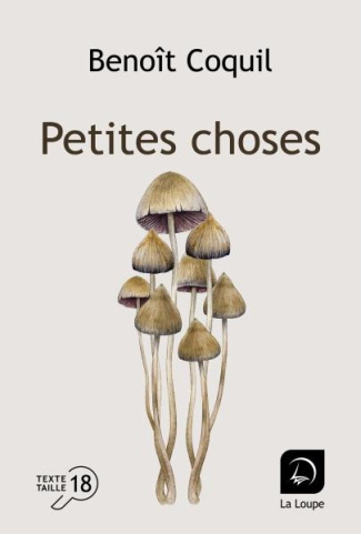 Petites choses [EDITION EN GROS CARACTERES