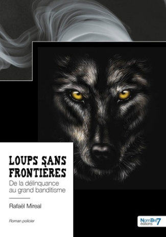 Loups sans frontières. De la délinquance au grand banditisme