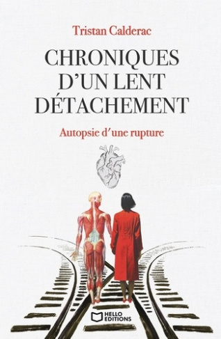 Chroniques d'un lent détachement. Autopsie d'une rupture