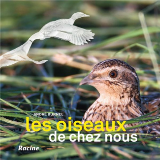 Les oiseaux de chez nous. Edition revue et augmentée