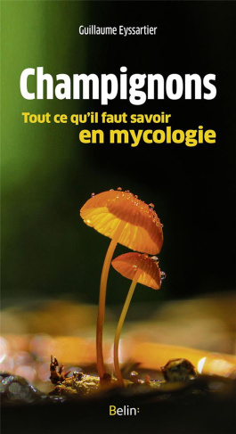 Champignons. Tout ce qu'il faut savoir en mycologie