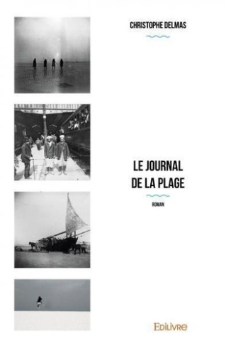 Le Journal de la plage. Roman