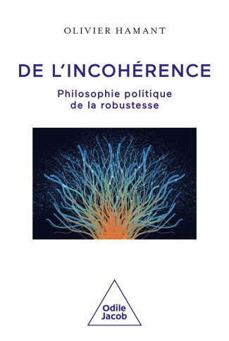 De l'incohérence. Philosophie politique de la robustesse