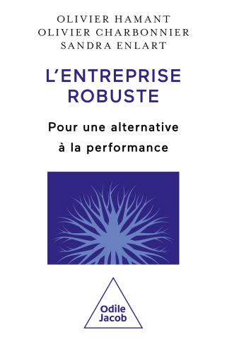L'entreprise robuste. Pour une alternative à la performance
