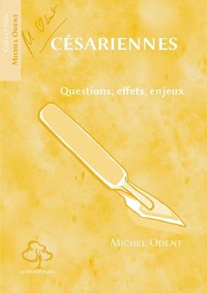 Césariennes. Questions, effets, enjeux