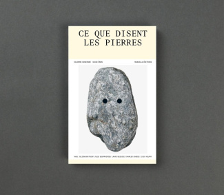 Ce que disent les pierres