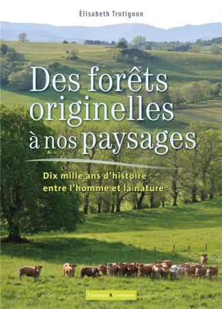 Des forêts originelles à nos paysages. Dix mille ans d'histoire entre l'homme et la nature
