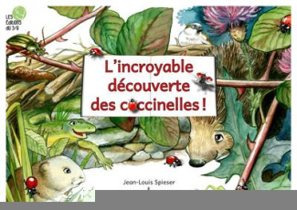 L'incroyable découverte des coccinelles