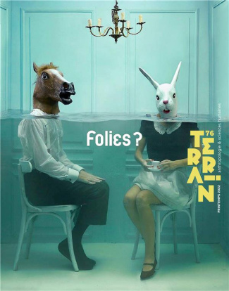 TERRAIN - T76 - TERRAIN 76 FOLIES?