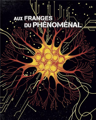 Terrain 80 Aux franges du phénoménal. Aux franges du phénoménal