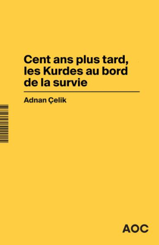 Cent ans plus tard, les Kurdes au bord de la survie. Dans la Turquie d'Erdogan, l'arme judiciaire au