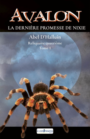 AVALON La dernière promesse de Nixie : Reliquaire quatrième tome 1. La dernière promesse de Nixie