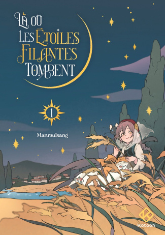 Là où les étoiles filantes tombent Tome 1