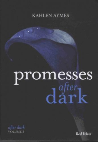 After dark Tome 3 : Promesses