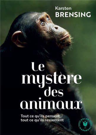 Le mystère des animaux