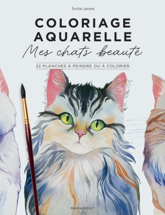 Coloriage aquarelle : Mes chats beautés. 22 planches à peindre ou à colorier